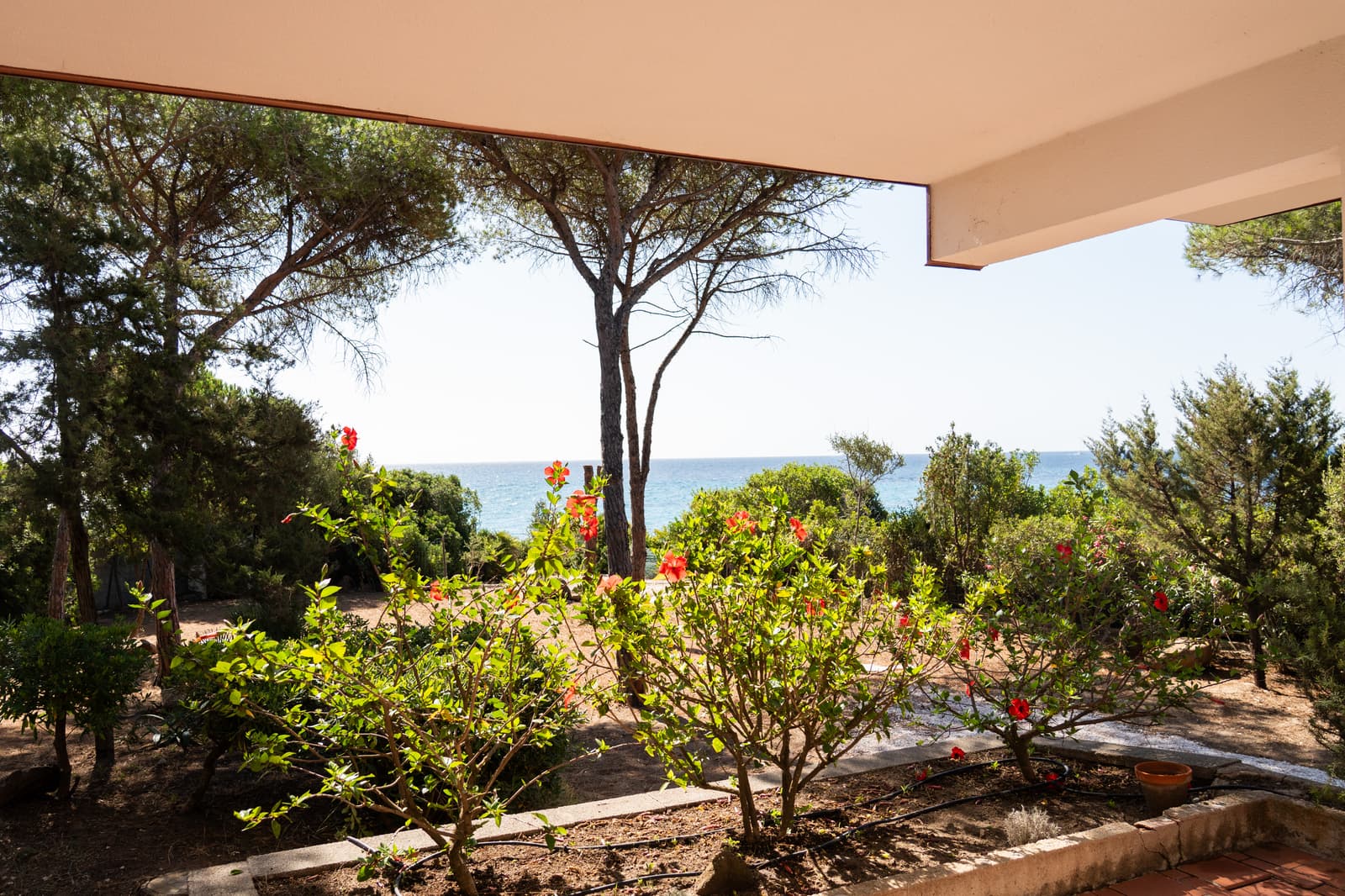 Villa Fresia, ground floor with garden by the sea - Thumbnail 2