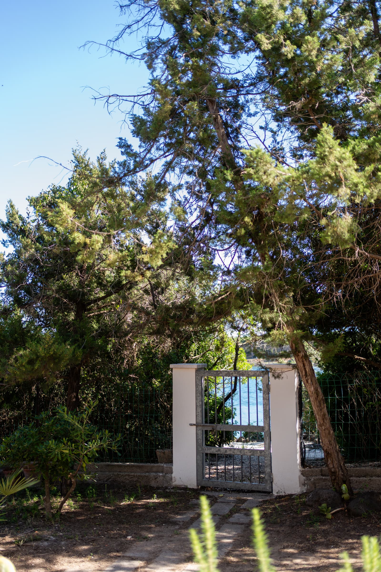 Villa Fresia, ground floor with garden by the sea - Thumbnail 5